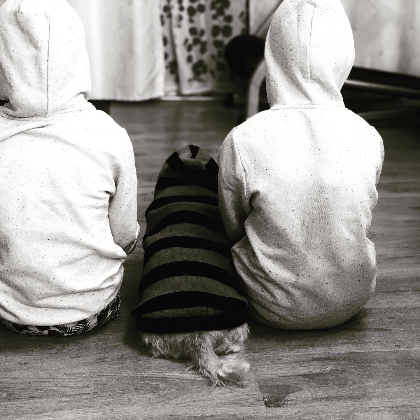 Emilia & Letizia Macula