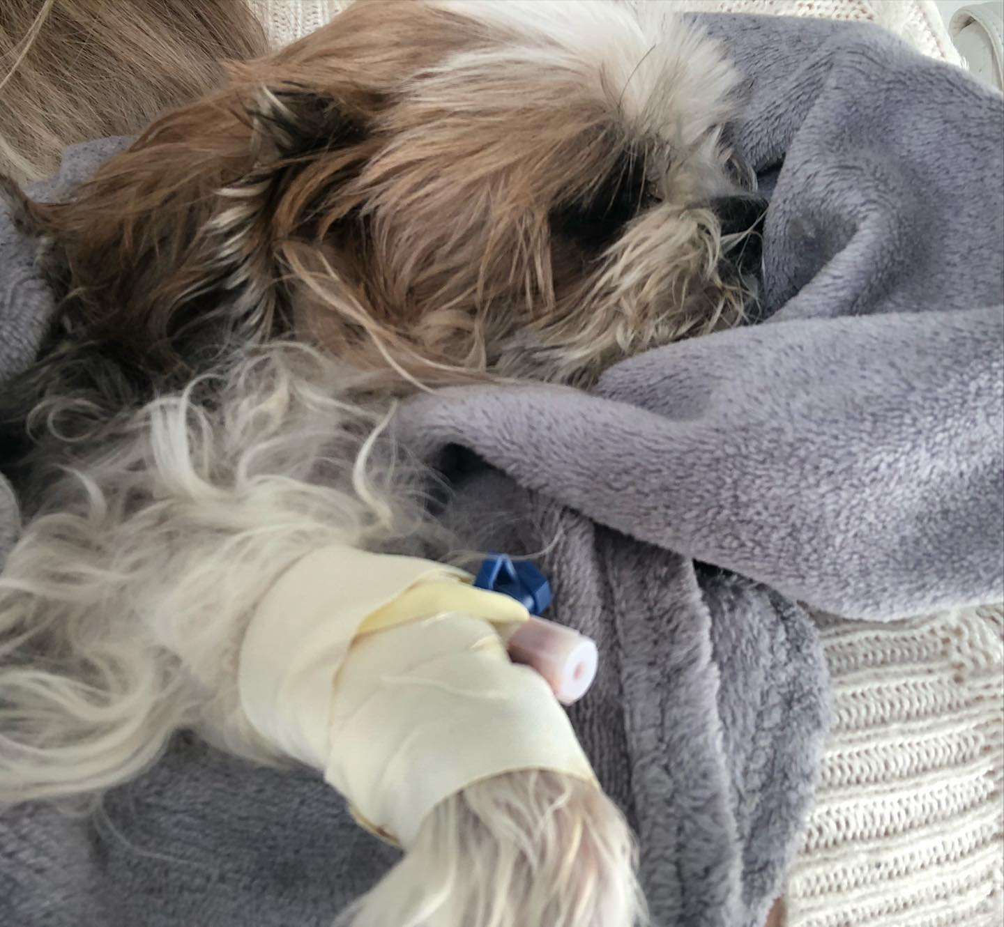 Emilia & Letizia Macula