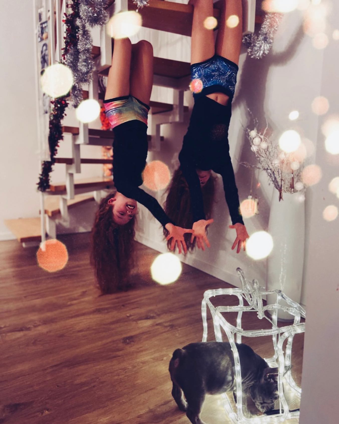 Emilia & Letizia Macula