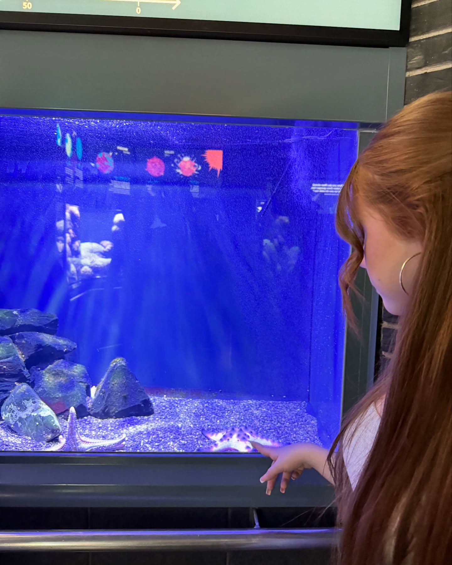 Emilia & Letizia Macula