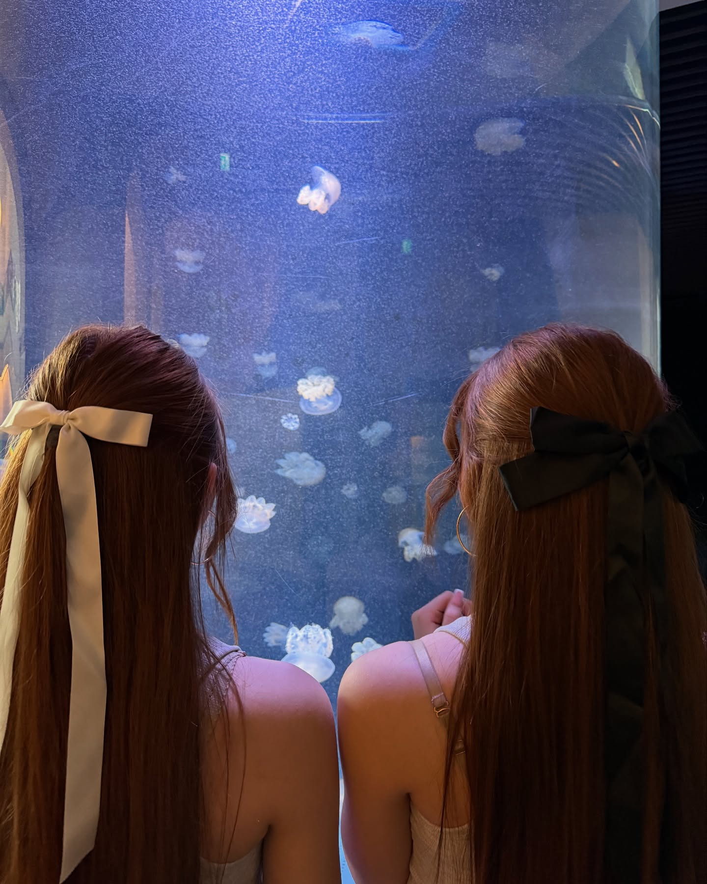 Emilia & Letizia Macula