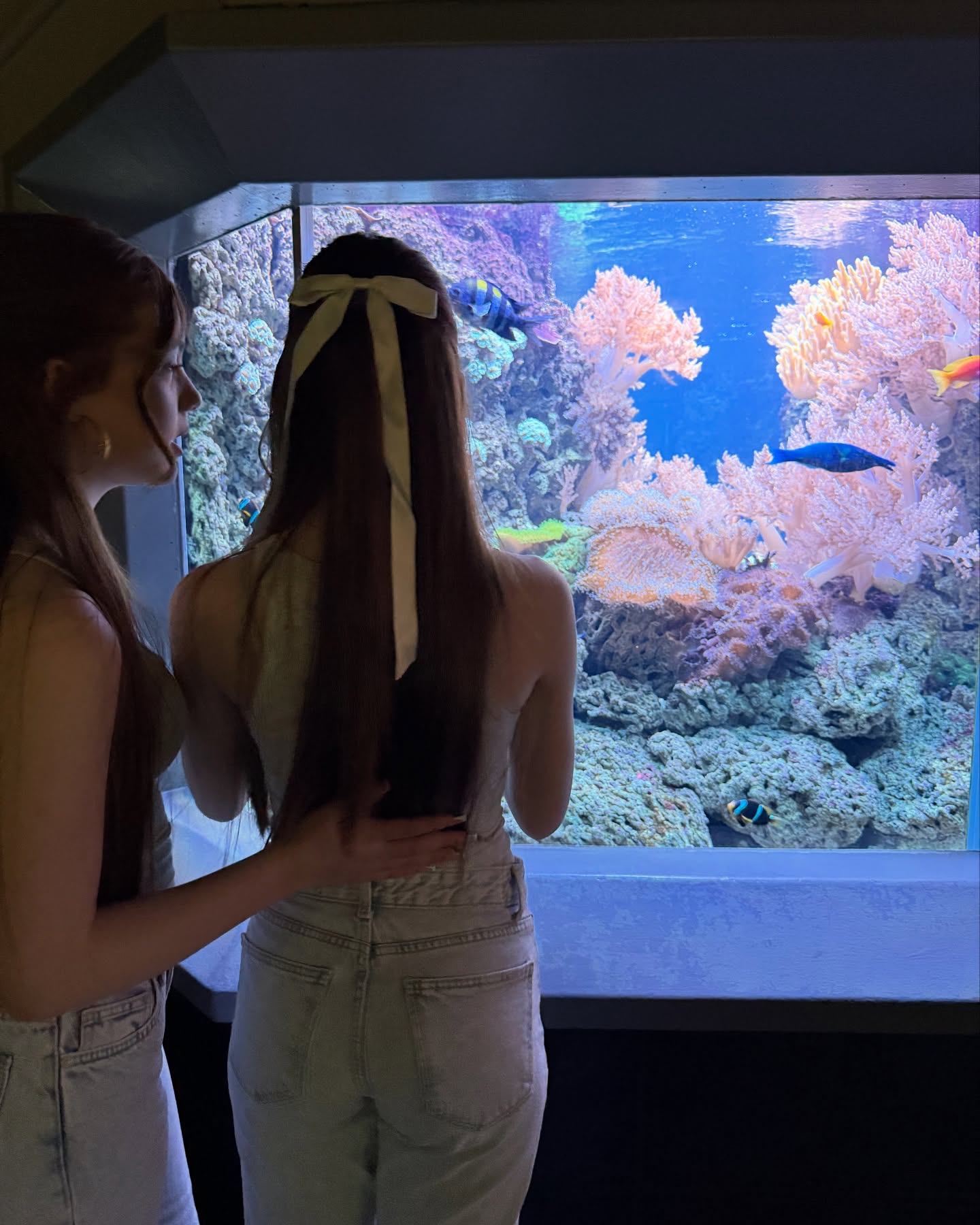 Emilia & Letizia Macula